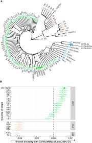 Wild Mouse Gut Microbiota Promotes Host Fitness And Improves