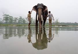 With janchiv ayurzana, chimed ohin, amgaabazar gonson, zeveljamz nyam. The Keepers Of Ganesh Jody Macdonald Photography