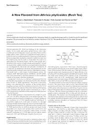 Image result for Athrixia phylicoides