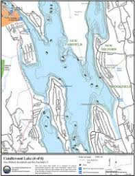 Winchester Lake Ct Depth Chart Baldinette