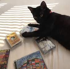 Cat And Radiohead Radiohead Ok Computer Alternative Rock Bands
