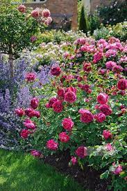 30 Gorgeous Flower Bed Ideas You Could Try Today Decor Home Ideas Beautiful Gardens Lavender Garden Plants