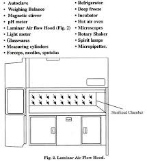 essay on plant tissue culture history methods and application