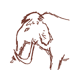 Einfach zeichenkurs für anfänger, schulkinder: Wie Zeichnet Man Mammut Lerne Zu Zeichnen Von Anderen Letsdrawit Spielern