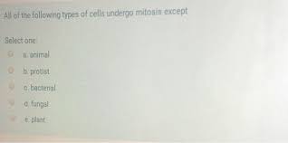 In the animal cell mitosis, when the parent cell is further divided into two daughter cells, a furrow is formed between them. All Of The Following Types Of Cells Undergo Mitosis Chegg Com