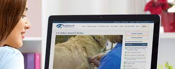 Train at home in your spare time. Online Pet Grooming Program Paragon School Of Pet Grooming