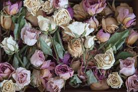 Take, for instance, all of the different meanings attributed to variously colored carnations: Discover Different Death Flowers And Their Symbolic Meanings Floraqueen