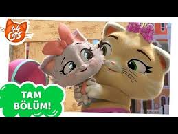44 Kedi 51 Bolum Yavru Kedi Bakicisi Pilou Tam Bolum Youtube 2020 Yavru Kediler Cute Kittens Kedi