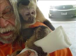 Leonard Schendowich Obituary (2008)