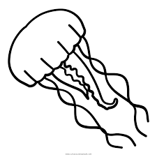 Zwischen malbüchern mussten sie dies nehmen welches verfügbar war doch hier können sie aus einer schlange von themen auswählen und die. Qualle Ausmalbilder Ultra Coloring Pages