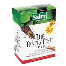 Check the trap weekly and replace if full simply throw the entire trap away when youre ready to replace. Black Flag Pantry Pest Trap Glue Traps 2 Count Hg 11038 1 The Home Depot