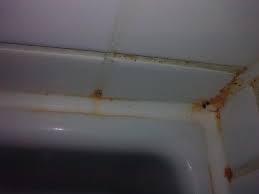 Si decides alojarte en star inn hotel regensburg zentrum de regensburg, estarás cerca de un centro comercial (conexión disponible) y a menos de 15 minutos en coche de stone bridge y museo de historia de regensburg. Dusche Picture Of Star Inn Hotel Regensburg Tripadvisor