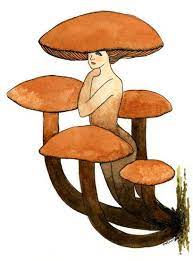 Pin On Mushroom Trip