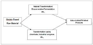 Gelatine en collageen hebben alles met elkaar te. Schematic Flow Diagram Of Gelatin Production Source Gmia Gelatin Download Scientific Diagram
