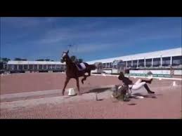 Warner coliseum & livestock complex. Bad Horse Falls Fails 2018 Equi Rider Youtube