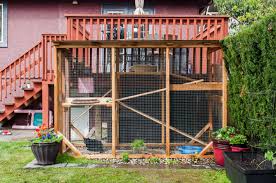 A wide variety of outdoor cat enclosure options are available to you, such as feature, application, and cage, carrier & house type. How To Build A Catio This Summer Bc Spca