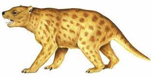 Thylacoleo Carnifex Ancient Animals Prehistoric Animals Animals