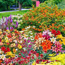 It is a haven for 15,000 butterflies around the world from 26 different species and has now increased to 40 as reported in april. Butterfly Garden Kit Spring Hill Nurseries