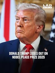 Liz Cheney/Adam Kinzinger Against Trump