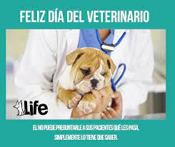 We did not find results for: Feliz Dia Del Vetarinario El Veterinaria Life Facebook