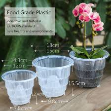 The ghost orchid is aptly named for a few reasons. Meshpot 10cm 12cm 15 Cm Clear Plastic Orchid Pots With Holes Air Pruning Function And Root Growth Slots Plastic Flower Pot Flower Pots Planters Aliexpress