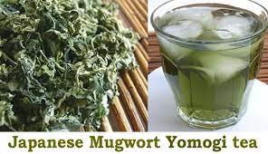 Pin On Japanese Weight Loss Diet Green Tea With Kampo Medicinal Herb Tea Blends