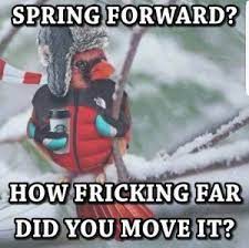 Top 10 Funny Spring Snow Memes That Will Keep You Laughing For Hours Empire Bbk Spring Funny Winter Humor Funny Weather
