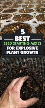 5 Best Seed Starting Mixes For Explosive Plant Growth Seed Starting Mix Seed Starting Plant Growth