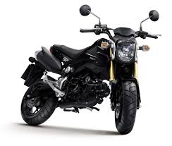 Honda MSX125 Will Make a Monkey Out of You - Asphalt & Rubber