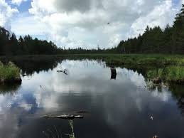 Building lot with seasonal water views of woods pond. Maine Stream Land For Sale Landflip