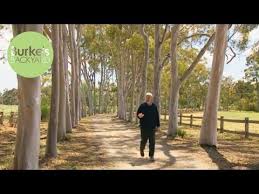 Burke S Backyard Billabong Garden Makeover 2000 Youtube