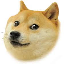 This item was published by an official roblox account named roblox and adds a great touch to your avatar. Mlg Png Graphic Free Image Dogeface Png Clans Wiki Fandom Powered Roblox Doge Face 14872 Vippng