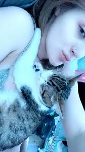 Rehoming a 7-month-old, fully litter-trained cat