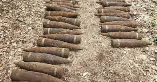 Hallan en un bosque de Berlín casi 60 granadas soviéticas de la Segunda Guerra Mundial