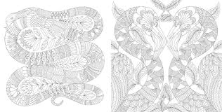 Find your new adult mindfulness colouring book today. Tropical World A Coloring Book Adventure A Millie Marotta Adult Coloring Book Marotta Millie 9781454709138 Amazon Com Books