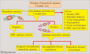 Image result for Direct Coombs