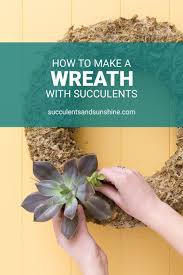 You want it to be a thick enough layer to be able to place the succulent roots all the way into the wreath. How To Make A Living Succulent Wreath Succulents And Sunshine