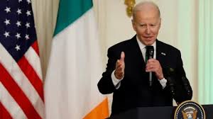 Image result for Bidens elliotii