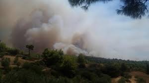 Συναγερμός στην πυροσβεστική υπηρεσία για πυρκαγιά που ξέσπασε το απόγευμα της τρίτης στην περιοχή μεταξύ πηλίου και μαντουδίου στην εύβοια. Fwtia Twra Eidhseis Eley8eros Typos