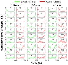 Muscle Synergies Are Consistent Across Level And Uphill