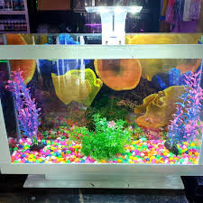 F = ab + a'b + ab' penyelesaian: Millenium Aquarium Medan Home Facebook