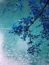 America 1876 con la sola compagnia di un fedele domestico. Pensieri Citazioni E Poesie Sulla Pioggia