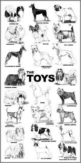 Dog Grooming Style Charts Dog Grooming Styles Mobile Pet