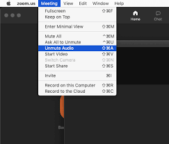 The problem is that it always goes back to mute. Simple Zoom Mute Audio Toggle Using Keyboard Maestro Postproductive Tv