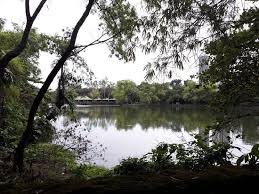 Find the perfect ninoy aquino parks and wildlife center stock photo. Oasis Picture Of Ninoy Aquino Parks And Wildlife Center Luzon Tripadvisor
