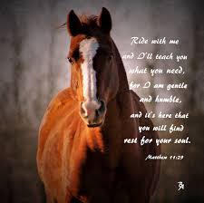 Pin On Horses