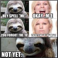 Dirty knock knock jokes tend to be stupid so here are a few funny dirty jokes and memes that are actually worth laughing at. Funny Superior Dirty Meme Joke Quotesbae