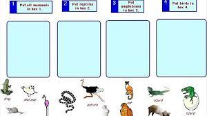 Some of the worksheets for this concept are functions of animal adaptations, haleakal national park what is my adaptation. Animal Adaptations Worksheets 2nd Grade Video Dailymotion