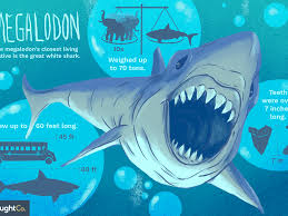 10 Interesting Facts About Megalodon