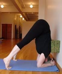 Five Minute Yoga Challenge Half A Headstand With 3 Blocks And A Wall Headstand Yoga Wall Yoga Yoga Challenge